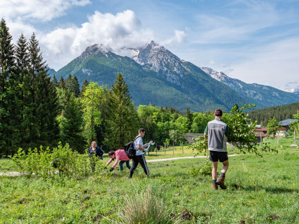 Freiwillige Helfer beim Schwenden auf der Alm