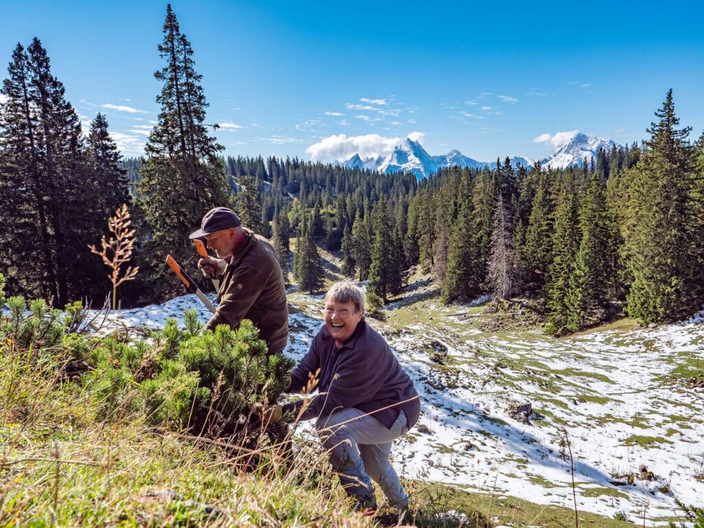 Teilnehmer schwenden beim Freiwilligencamp am Zehnkaser eine Almfläche mit Blick zum Watzmann