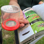 Becherlupe und Bestimmungsbuch für Insekten