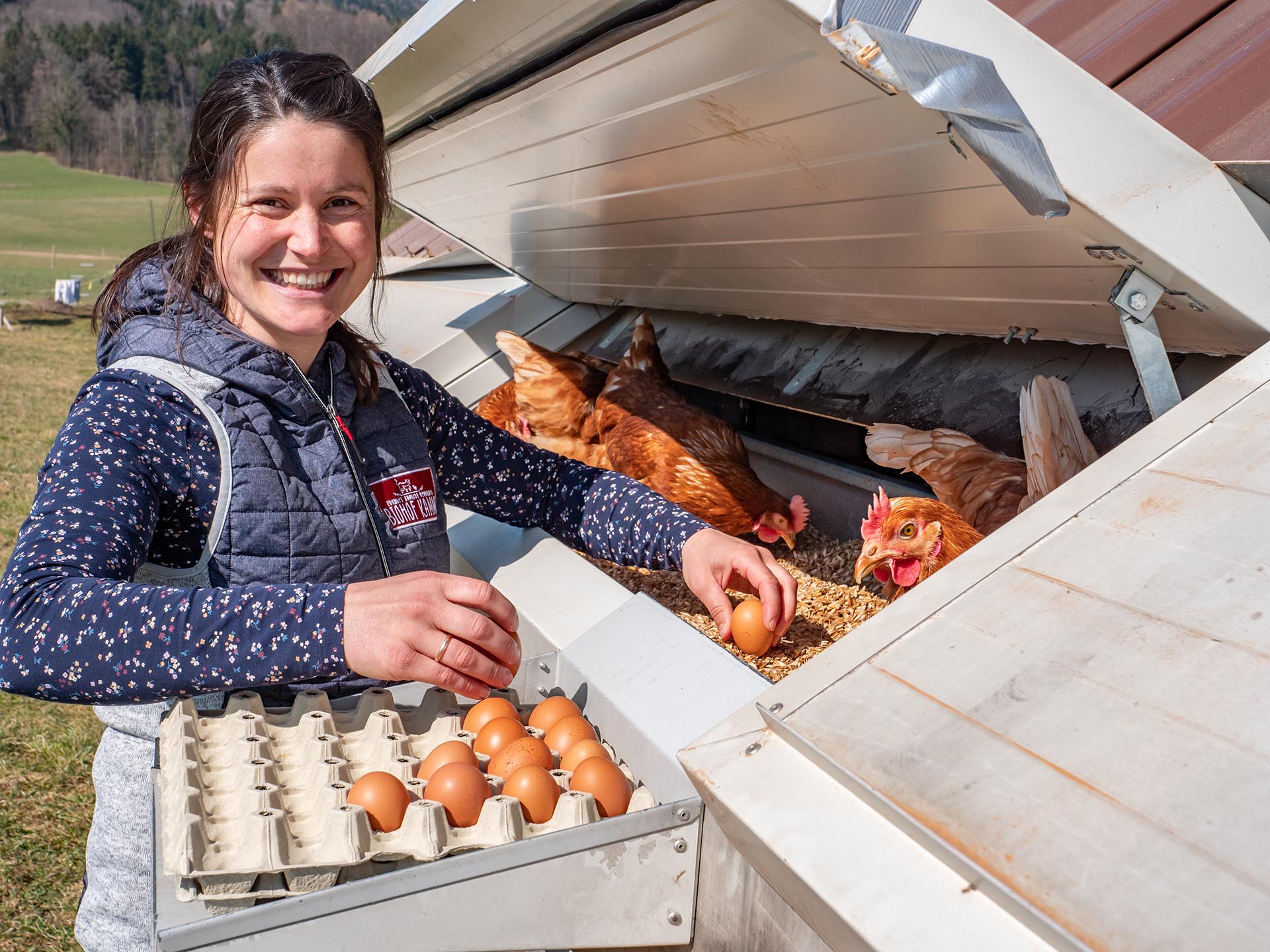 Steffi Kamml vom Biohof Kamml sammelt Biosphären-Eier im mobilen Hühnerstall