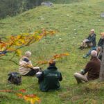 Teilnehmer einer Schulung zu Green Care sitzen meditierend auf einer Wiese
