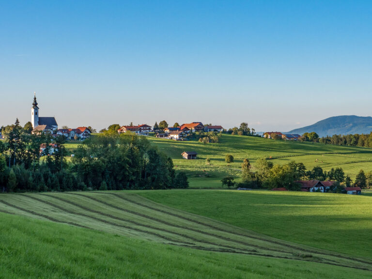 Blick über gemähte Wiesen auf die Siedlung mit Kirche am Ulrichshögl