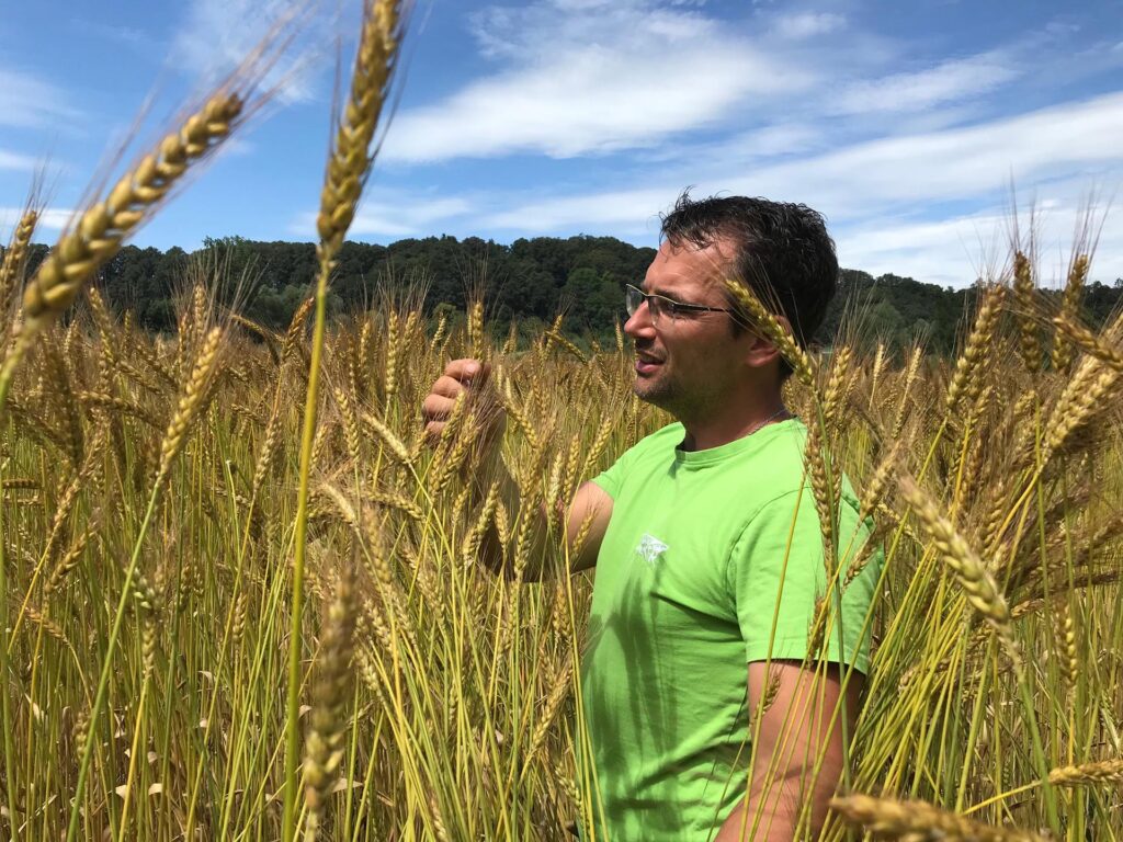Dr. Johann Lecker vom Partnerbetrieb Biohof Lecker steht im Getreidefeld und begutachtet Ähren