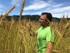 Dr. Johann Lecker vom Partnerbetrieb Biohof Lecker steht im Getreidefeld und begutachtet Ähren