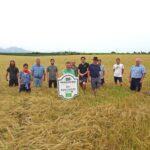 Mitglieder des Erzeugerkreises Bio-Braugerste stehen im Getreidefeld