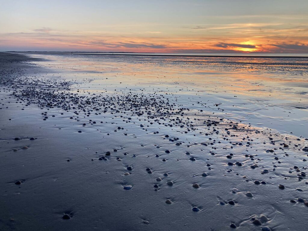 Abendstimmung am Wattenmeer auf Spiekeroog