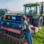 Traktor mit Sämaschine bei der Aussaat im Biosphären-Getreidegarten