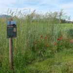 Biosphären-Getreidegarten mit Schild zum Roggen aus Niederreit