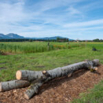 Holzbank am Biosphären-Getreidegarten mit Blick in die Berge