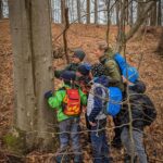 Kinder stehen im Wald am Baum und suchen einen Geocache