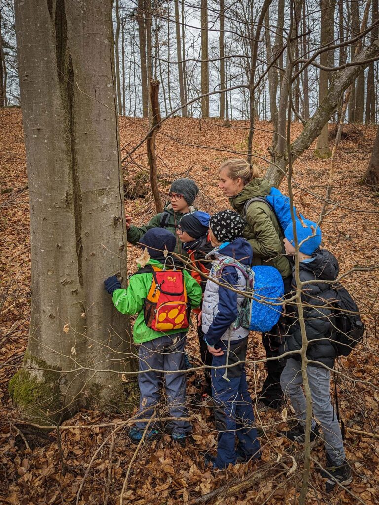 Kinder stehen im Wald am Baum und suchen einen Geocache