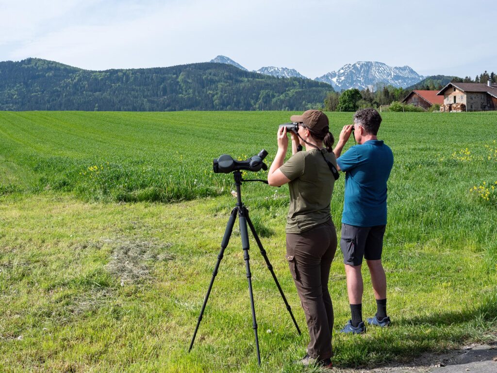 Ranger mit Spektiv und Fernglas auf der Suche nach Kiebitzen