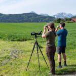 Ranger mit Spektiv und Fernglas auf der Suche nach Kiebitzen