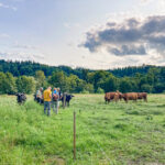 Feldtag Landschaftspflege: Teilnehmer auf einer Weide mit Kühen