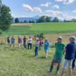 Teilnehmer beim "Feldtag Beweidung" auf einer Weide in Sillersdorf