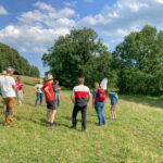 Teilnehmer beim "Feldtag Beweidung" auf einer Weide in Sillersdorf