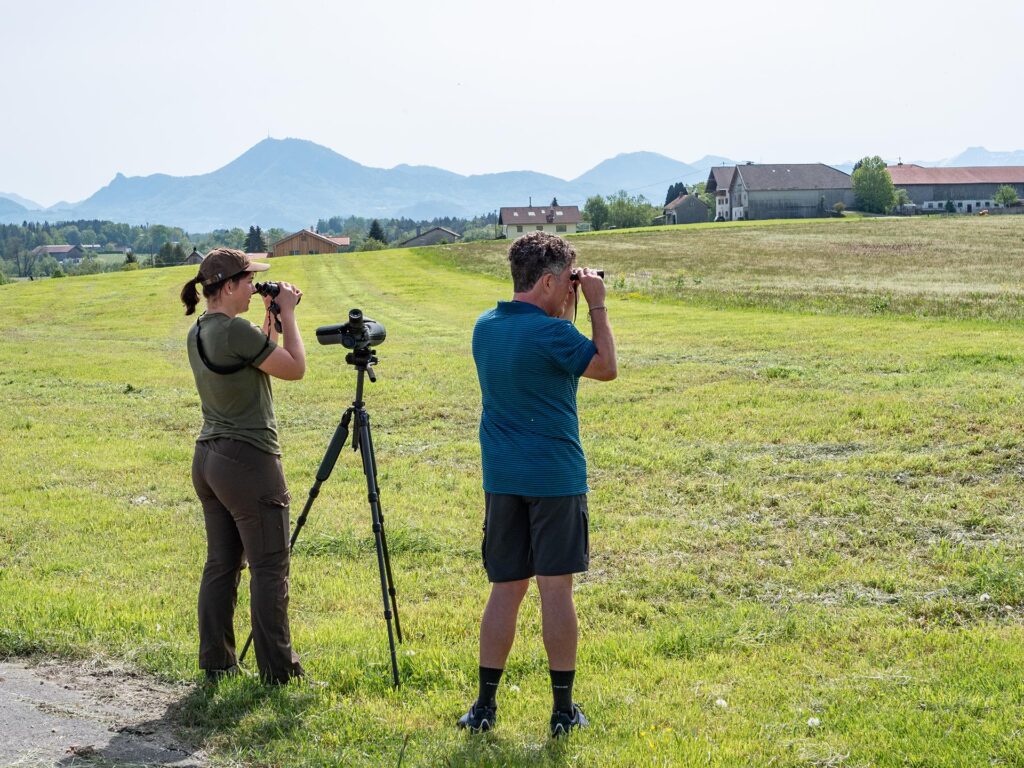 Biosphären-Rangerin und ehrenamtlicher Helfer suchen beim Kiebitzmonitoring mit Fernglas ein Feld ab