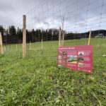 Biosphären-Hecken-Infoschild vor einer frisch gepflanzten Biosphären-Hecke