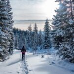 Winterwanderer unterwegs im verschneiten Wald