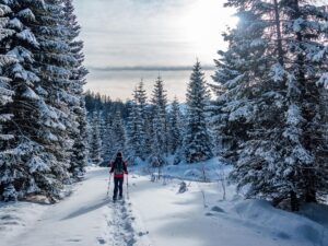 Winterwanderer unterwegs im verschneiten Wald