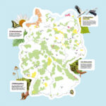 Deutschlandkarte mit eingezeichneten Biosphärenreservaten, Nationalparken, Naturparken und Wildnisgebieten