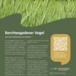 Getreidesteckbrief Berchtesgadener Vogel