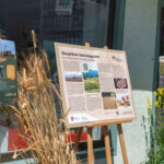 Infotafel zum Biosphären-Getreidegarten