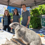 Infostand des Nationalpark Berchtesgaden am Biosphärentag mit einem präparierten Murmeltier