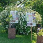 Ausstellung von Baumsorten mit Infotafeln