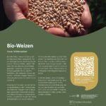Getreidesteckbrief Bio-Weizen