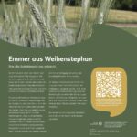 Getreidesteckbrief Emmer aus Weihenstephan