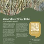 Getreidesteckbrief Steiners Roter Tiroler Dinkel