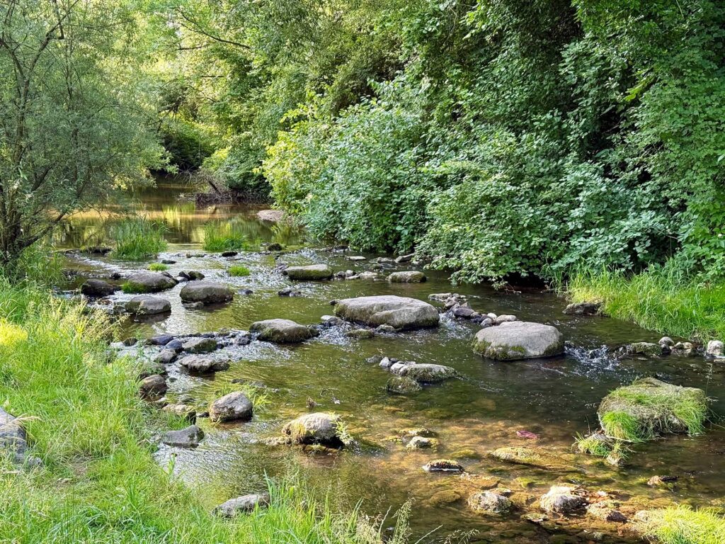 Flussabschnitt der Sur bei Surheim