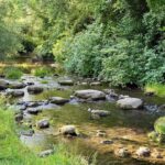 Flussabschnitt der Sur bei Surheim