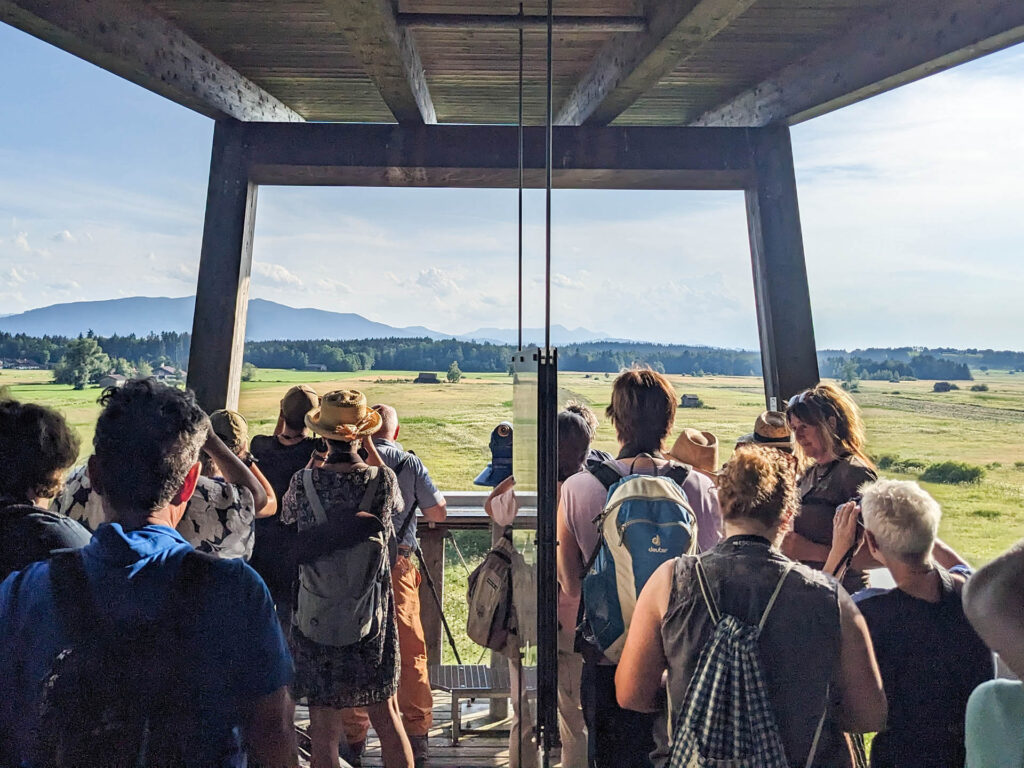 Teilnehmer einer Exkursion ins Haarmoos beobachten von der Aussichtsplattform aus Vögel