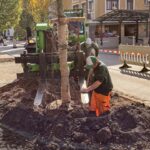 Teilnehmer des Bauhoftrainings pflanzen einen Baum