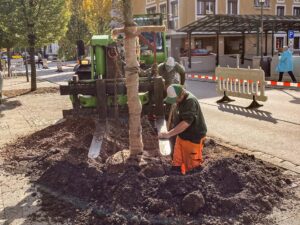 Teilnehmer des Bauhoftrainings pflanzen einen Baum
