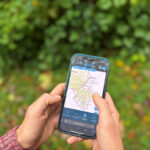 Mit der Karten-Anwendung des Bayern Atlas auf dem Smartphone unterwegs im Wald