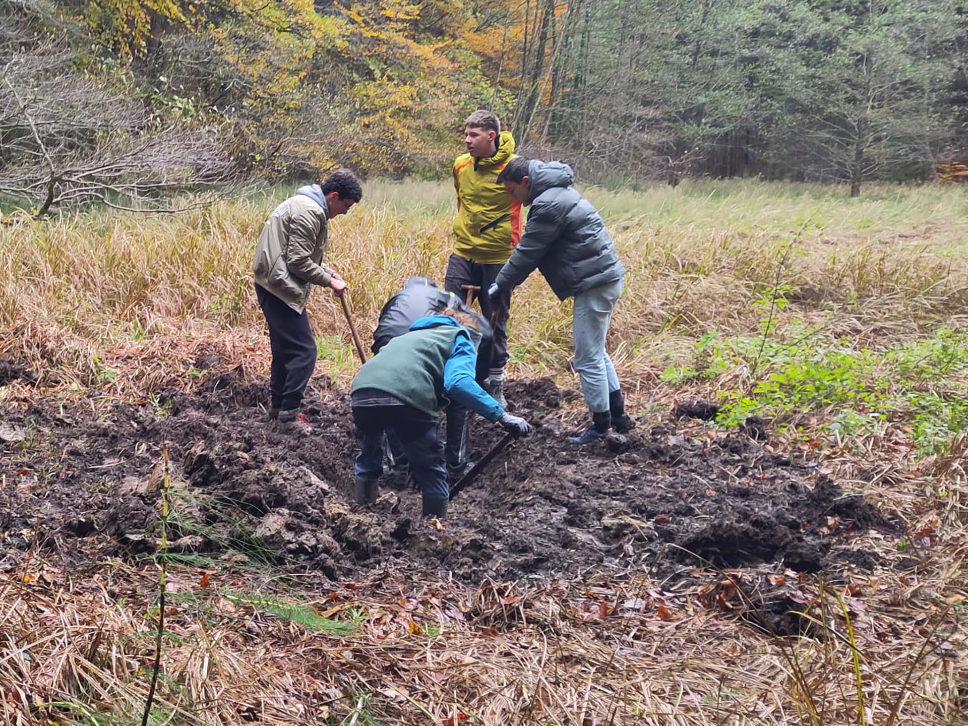 Schüler der der Maria-Ward-Realschule bei der Anlage eines Lebensraums für Gelbbauchunken
