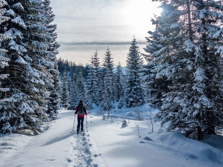 Winterwanderer im verschneiten Bergwald