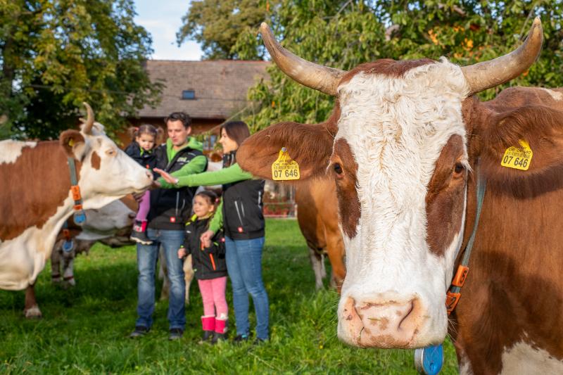 20201020_Bild-69_Lecker