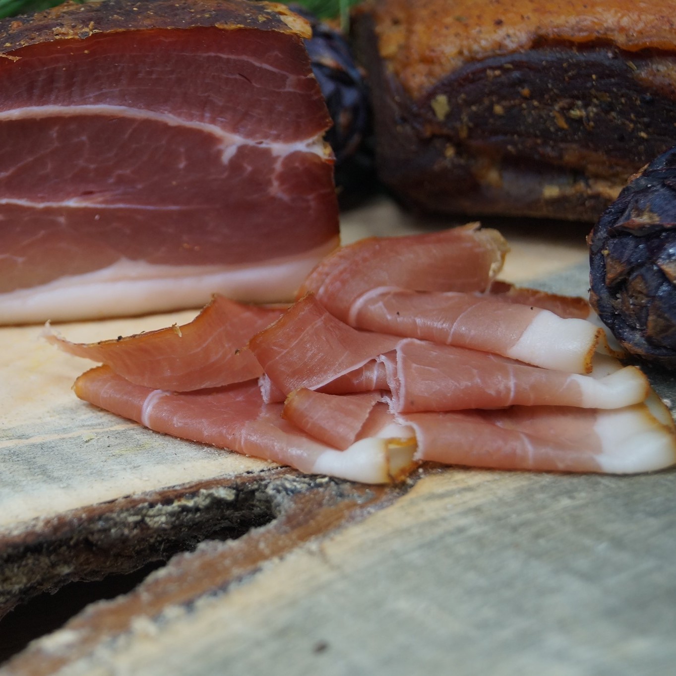 481210991_1146121134191231_926509827268304786_n