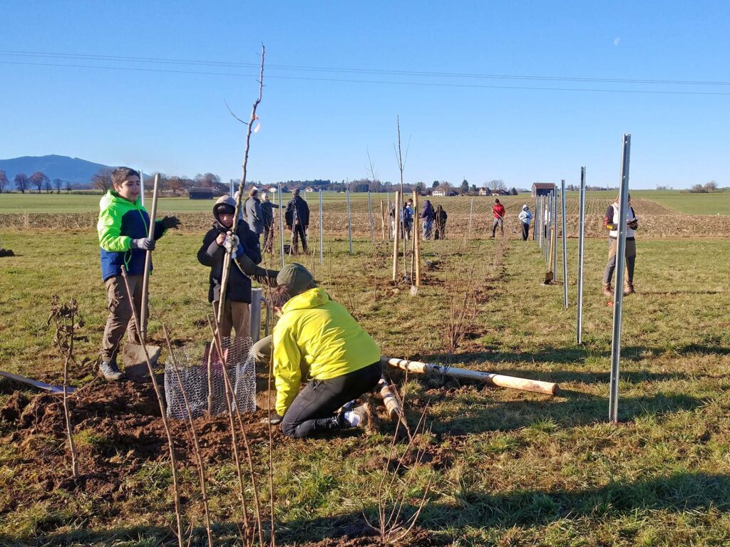 Schülerinnen und Schüler bei der Pflanzung einer Biosphären-Hecke
