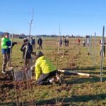 Schülerinnen und Schüler bei der Pflanzung einer Biosphären-Hecke