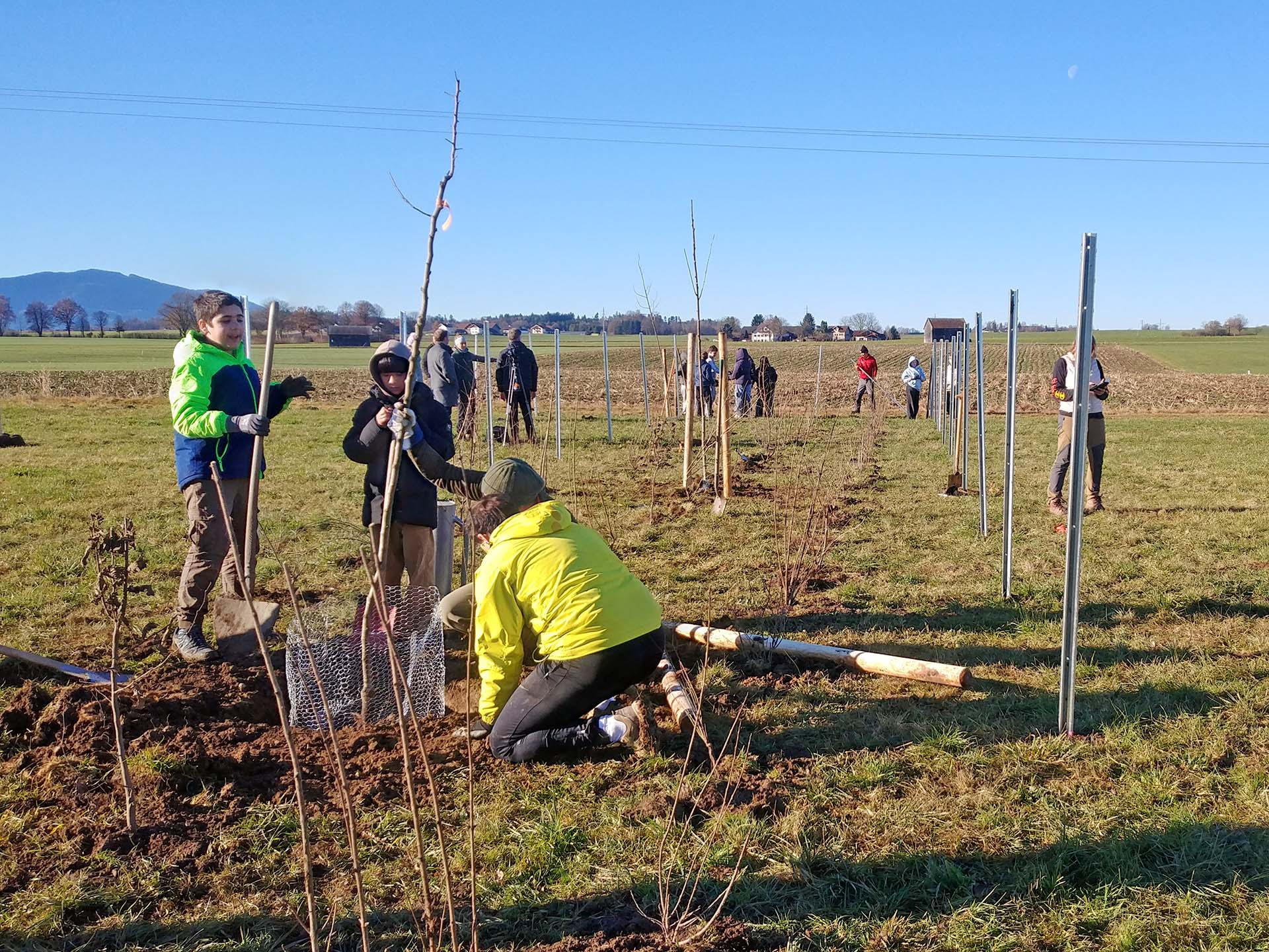 Schülerinnen und Schüler bei der Pflanzung einer Biosphären-Hecke