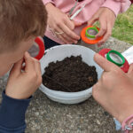 Schüler beim Untersuchen von Erde in Becherlupen