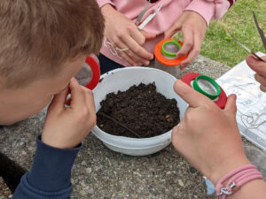 Schüler beim Untersuchen von Erde in Becherlupen