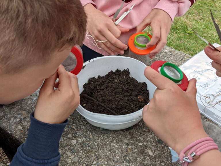 Schüler beim Untersuchen von Erde in Becherlupen