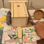 Bildungs-Materialien beim Netzwerktreffen zum Thema „Insektenfreundliche und naturnahe Schulgartengestaltung“