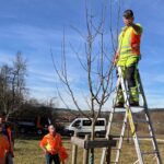Zuschnitt eines Baums während des Bauhoftrainings